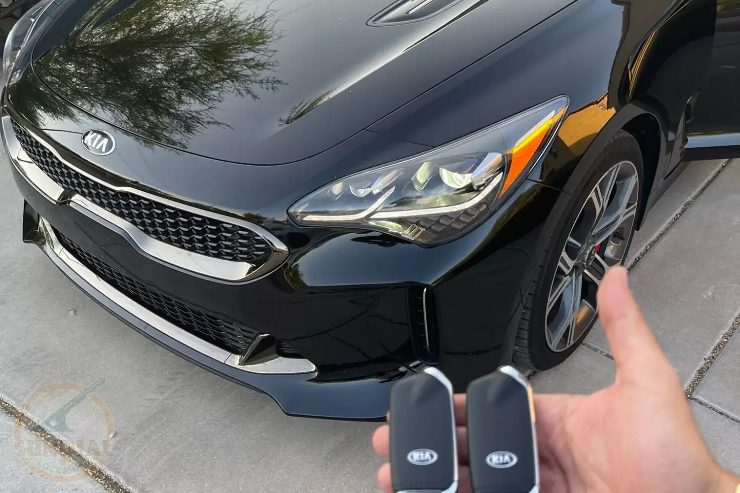 A hand holding two Kia car keys with a glossy black Kia car in the background.